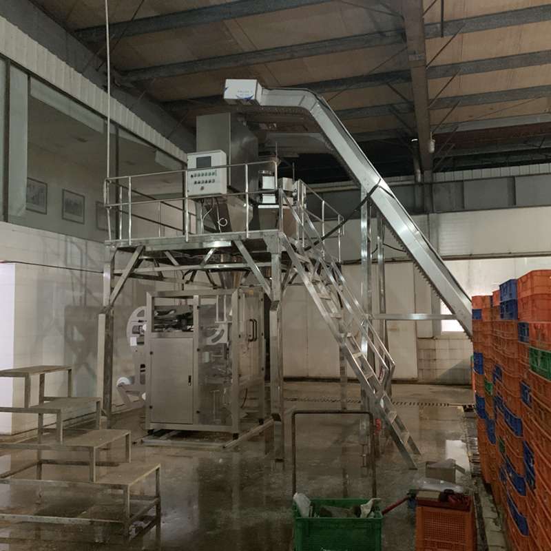 全自动豆芽包装机 颗粒包装 蔬菜包装