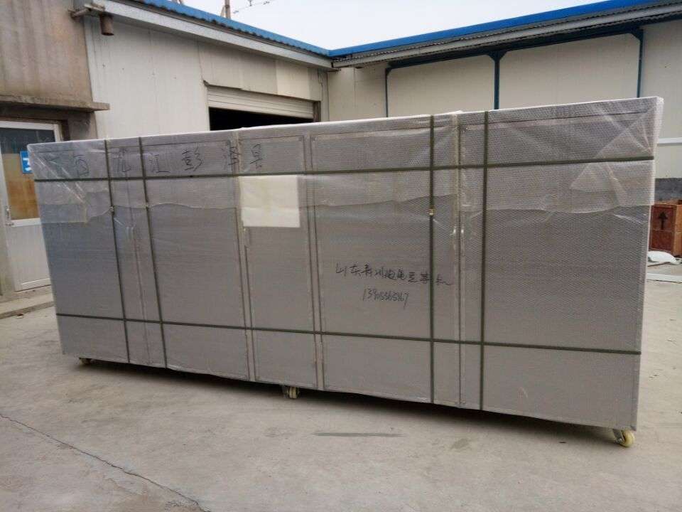 发往江西九江彭泽县200斤不锈钢花生芽机