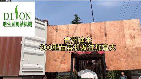 全自动芽苗菜机500型发往加拿大