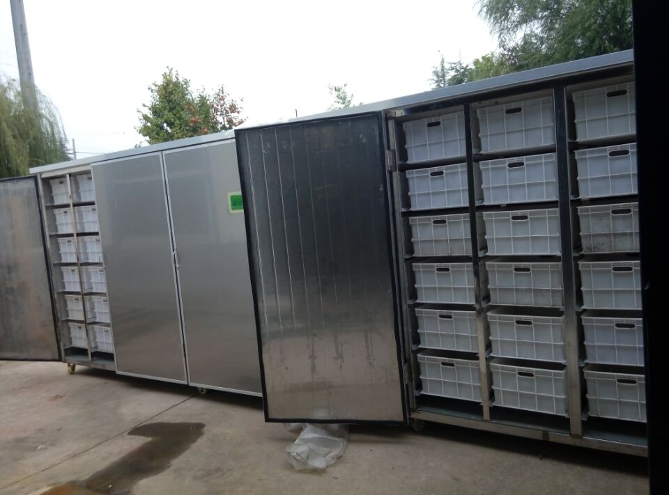 发往廊坊2000斤豆芽机一台