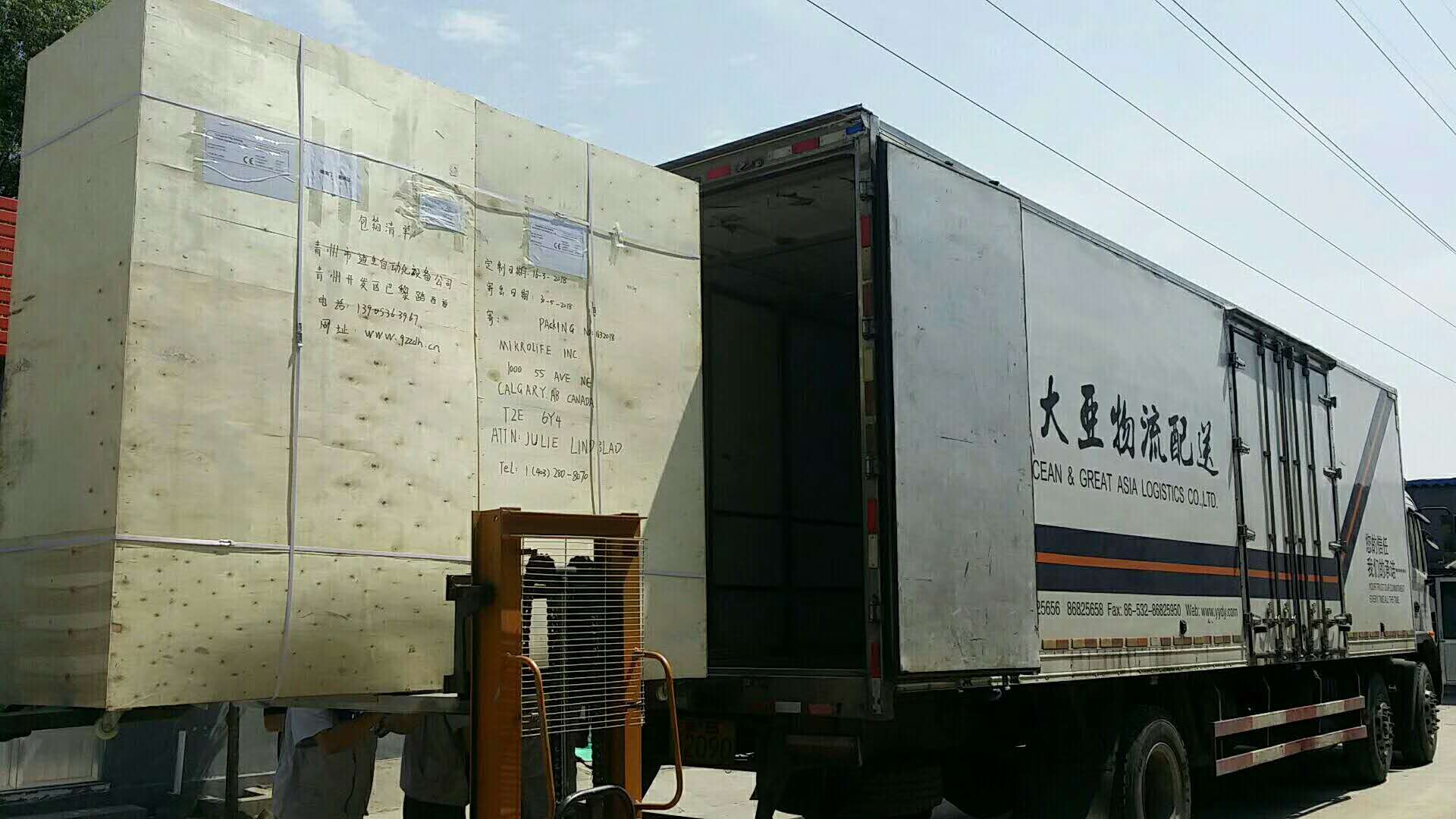 出口加拿大豆芽菜机